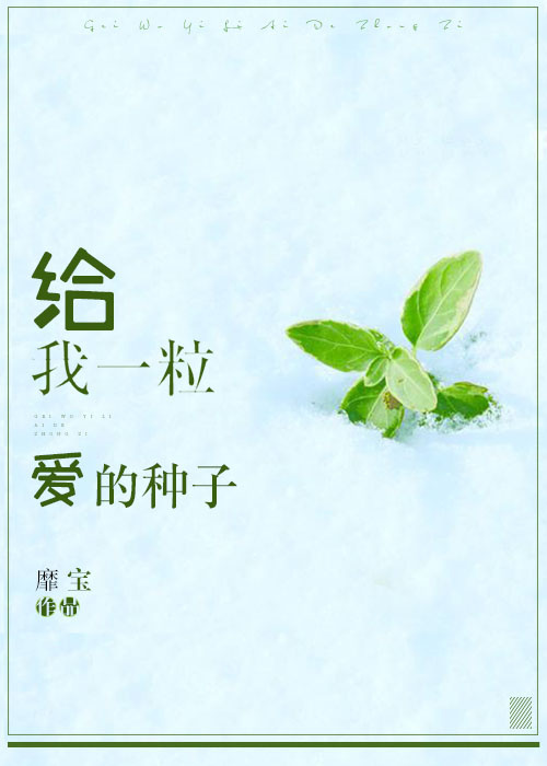 绽放